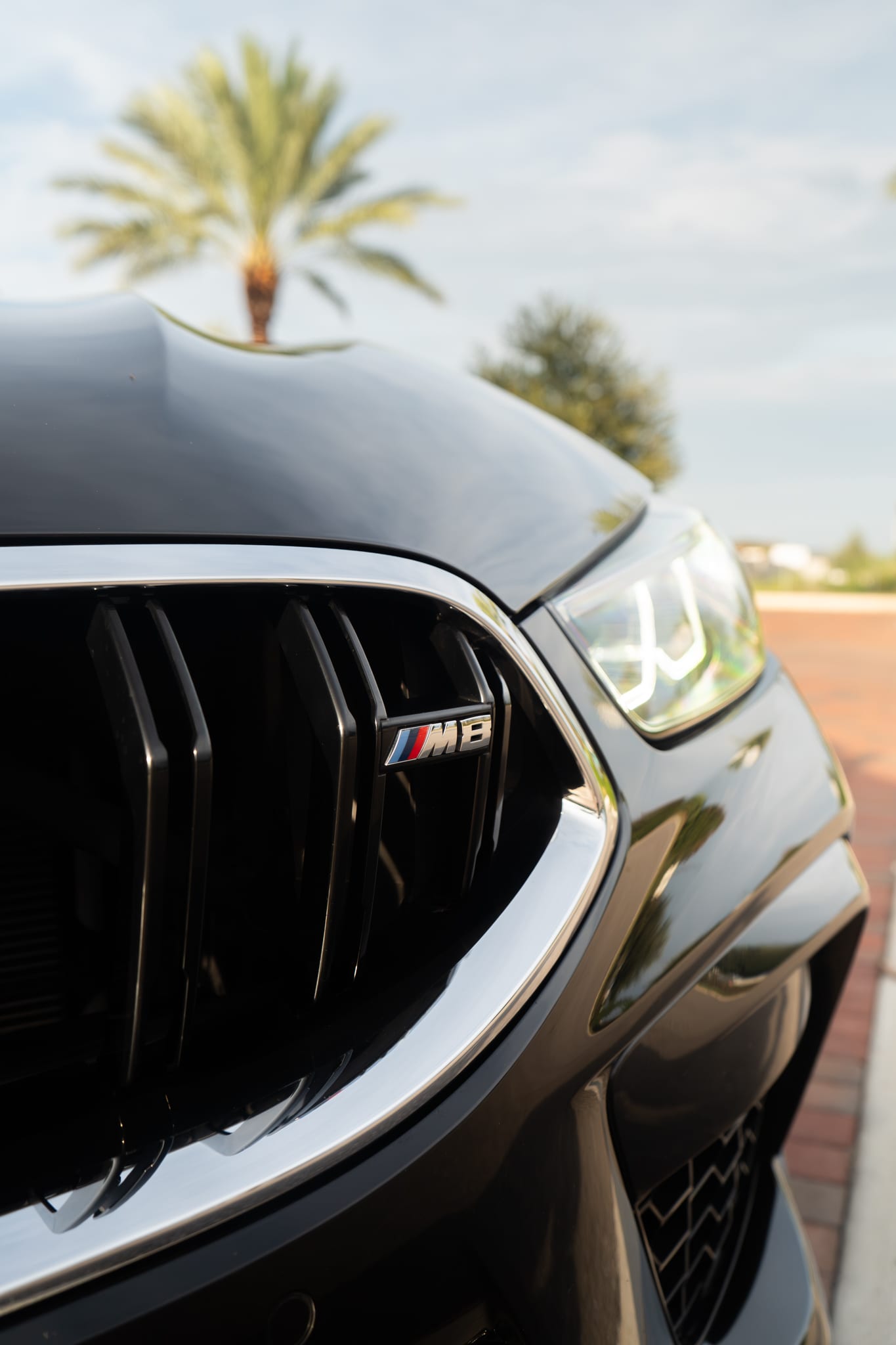 BMW M8 Coupe — photo 5