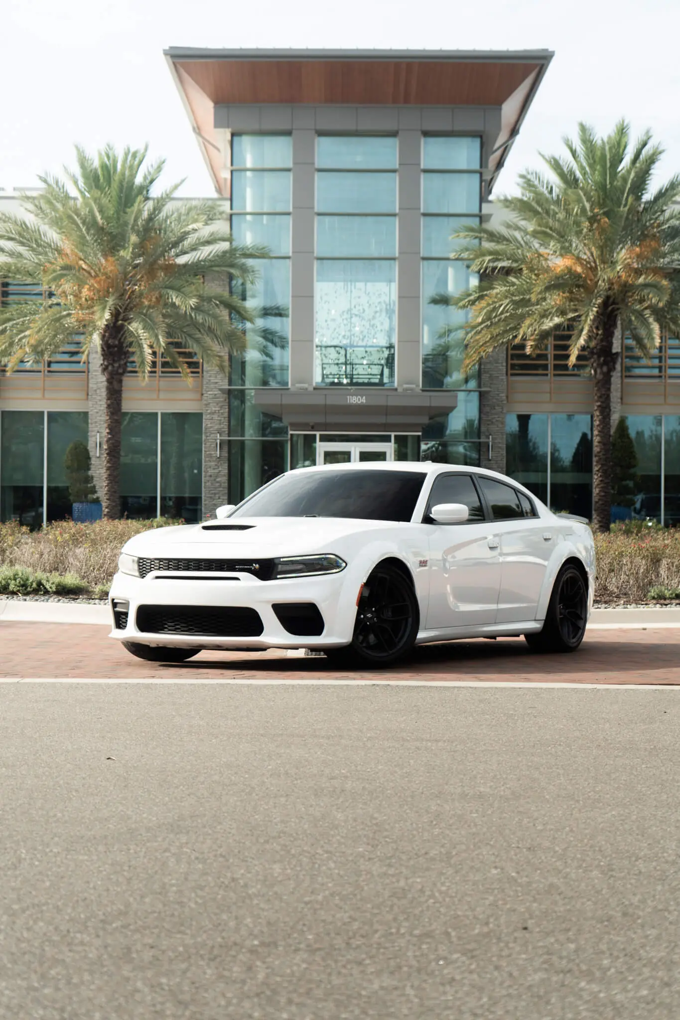 Dodge Widebody Scatpack Charger