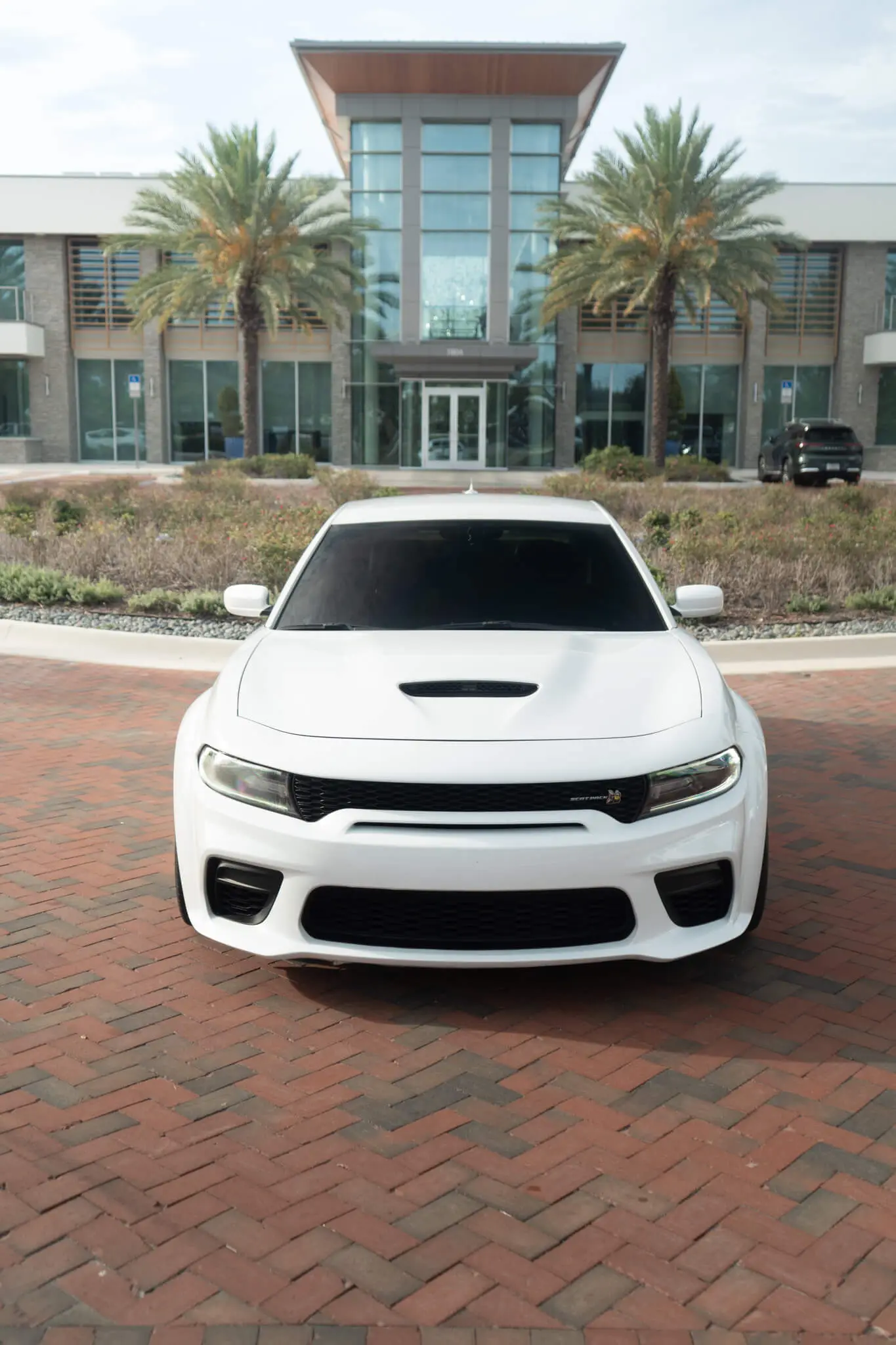 Dodge Widebody Scatpack Charger — photo 2