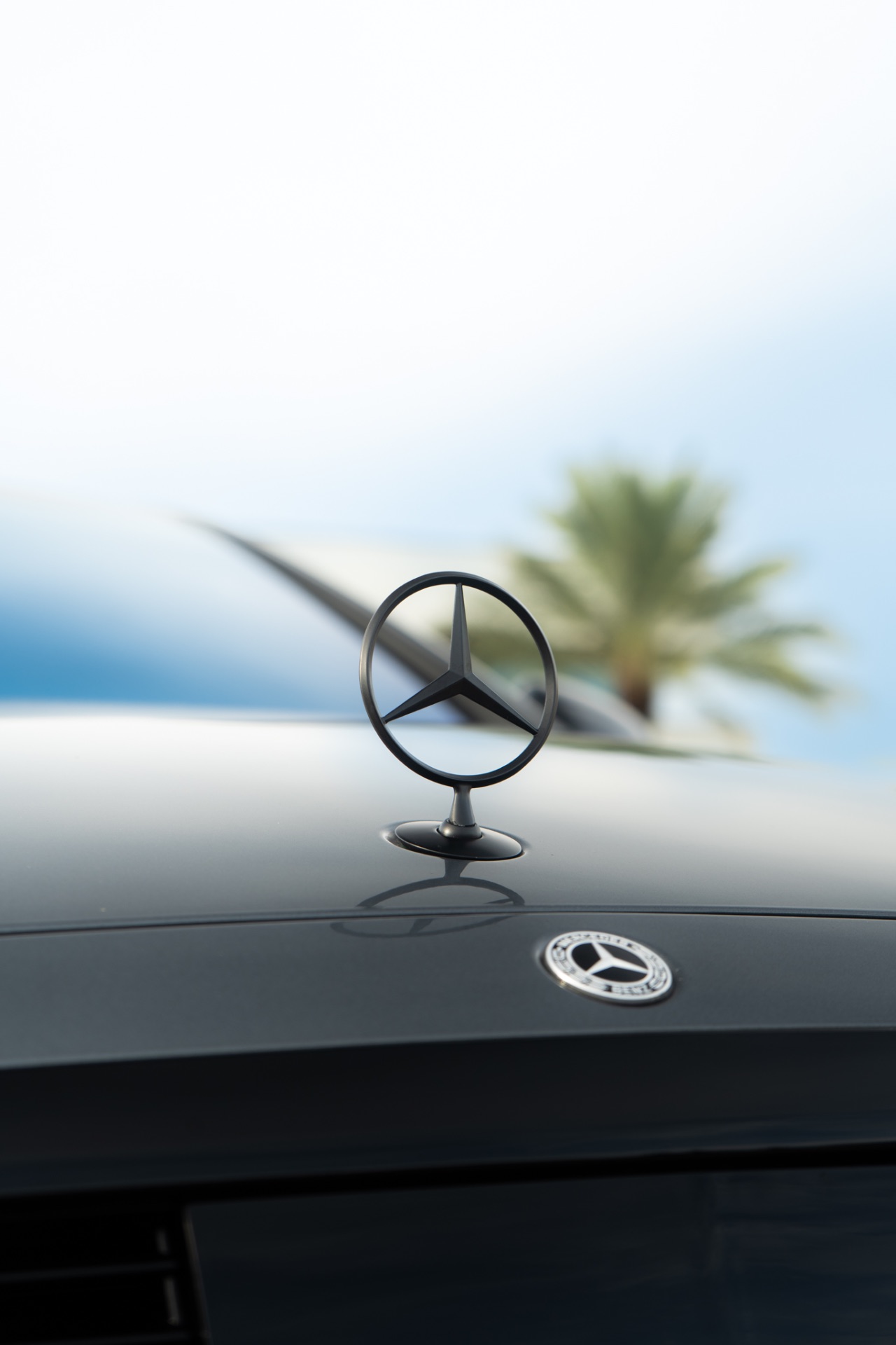 Mercedes Benz S class — photo 11
