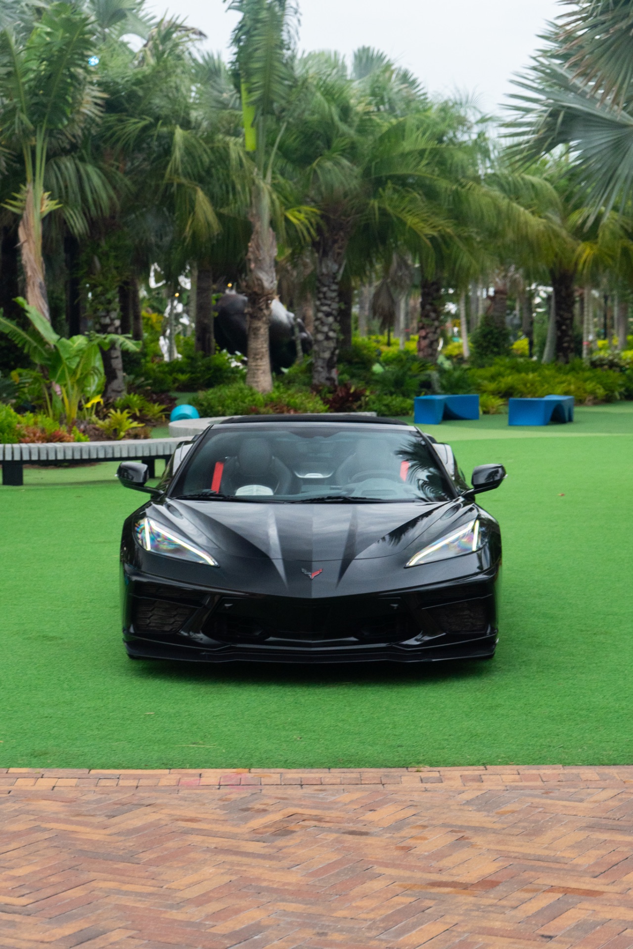 Chevrolet C8 Corvette — photo 17
