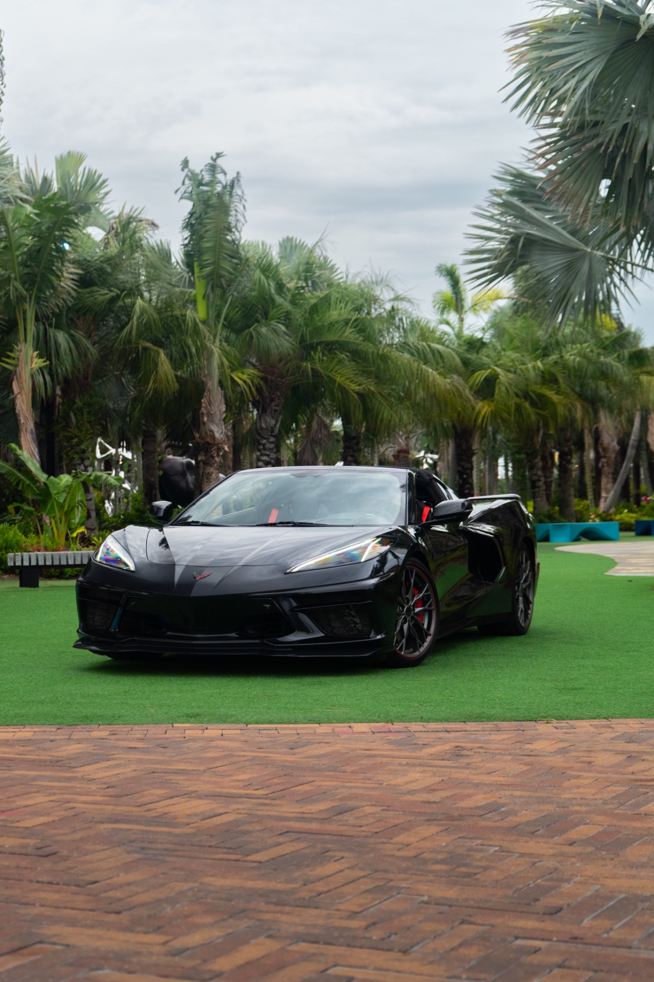 Chevrolet C8 Corvette — photo 16