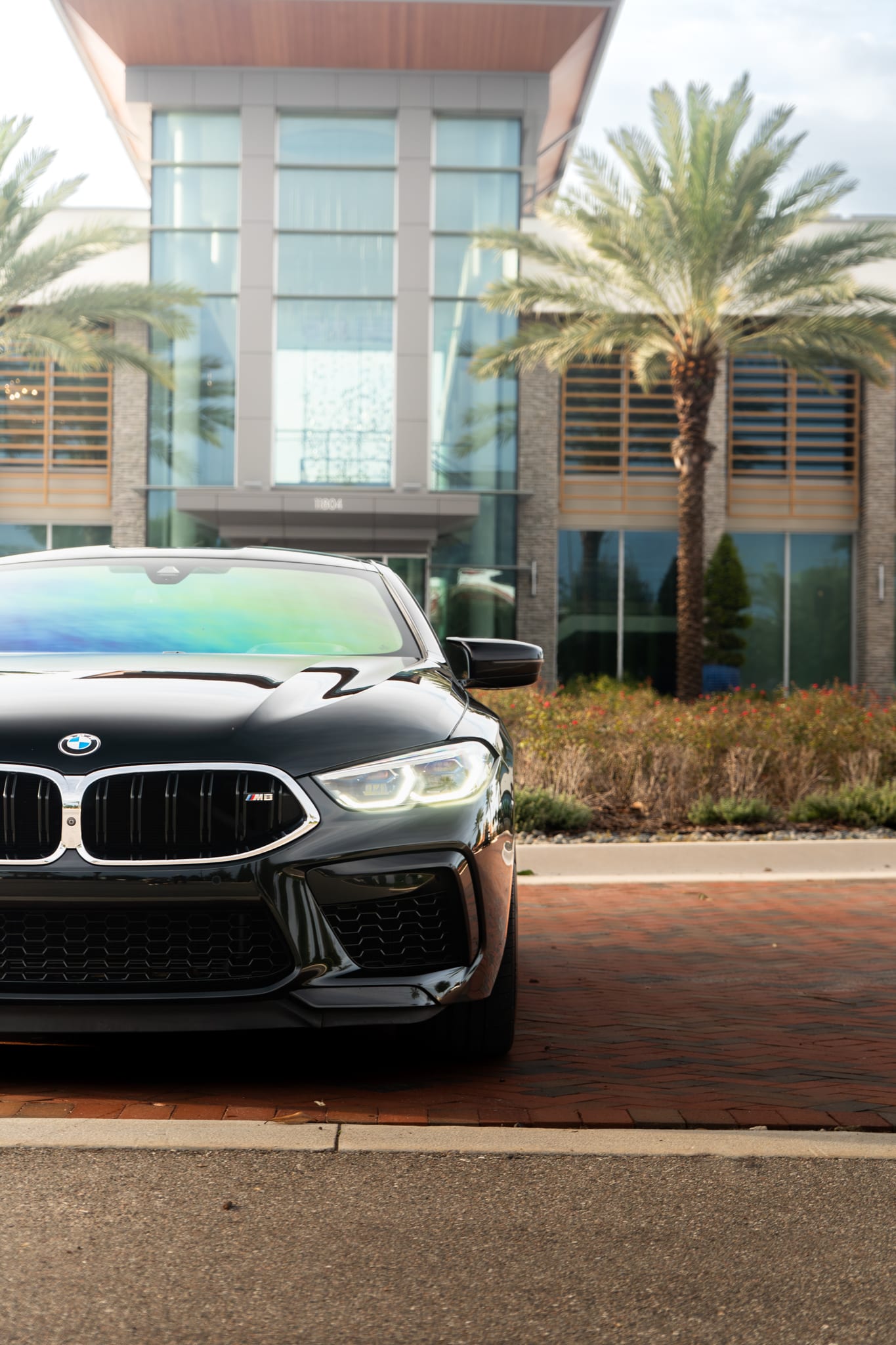 BMW M8 Coupe — photo 2